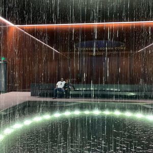 Meet your Posher, Shirley